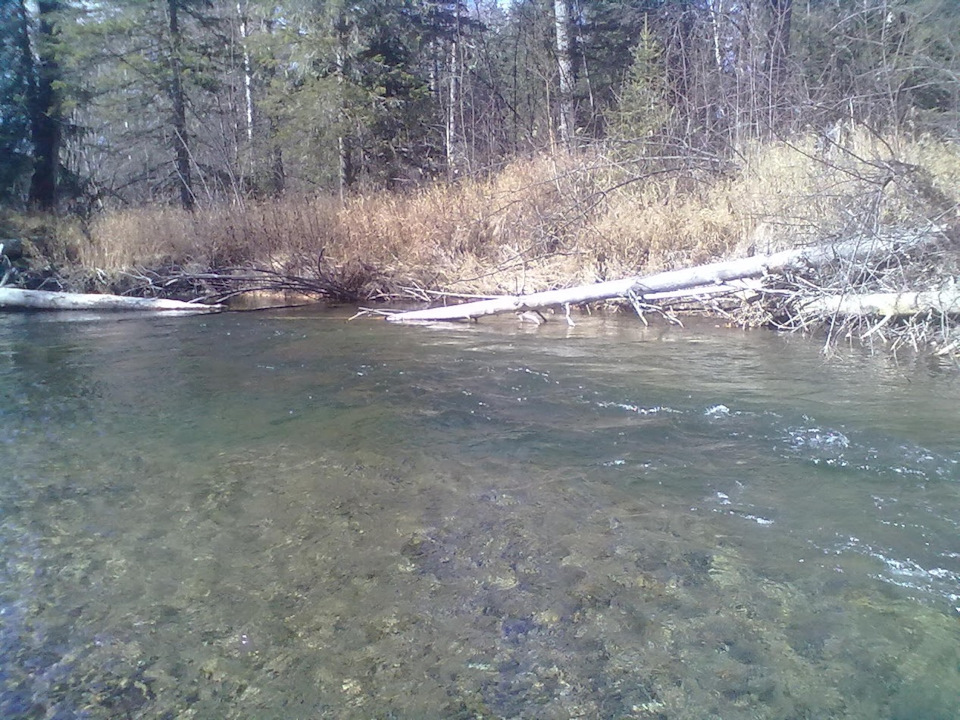 рыбалка на реке курица. Смотреть фото рыбалка на реке курица. Смотреть картинку рыбалка на реке курица. Картинка про рыбалка на реке курица. Фото рыбалка на реке курица рыбалка на реке курица. Смотреть фото рыбалка на реке курица. Смотреть картинку рыбалка на реке курица. Картинка про рыбалка на реке курица. Фото рыбалка на реке курица