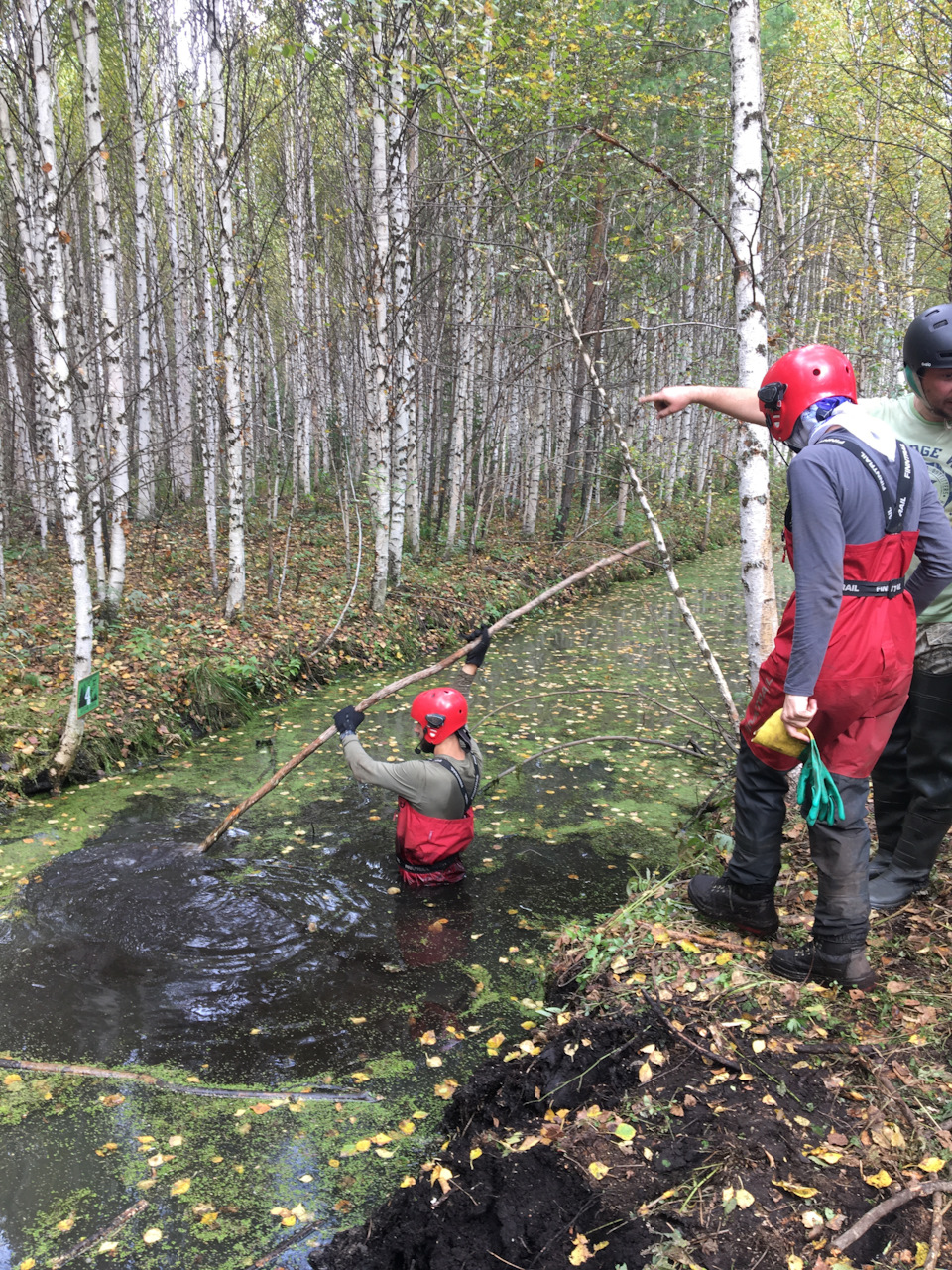 Фото в бортжурнале Suzuki Escudo (1G)