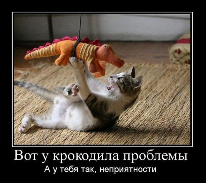 Картинки проблем приколы