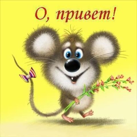 Фото в бортжурнале Citroen C1 (1G)