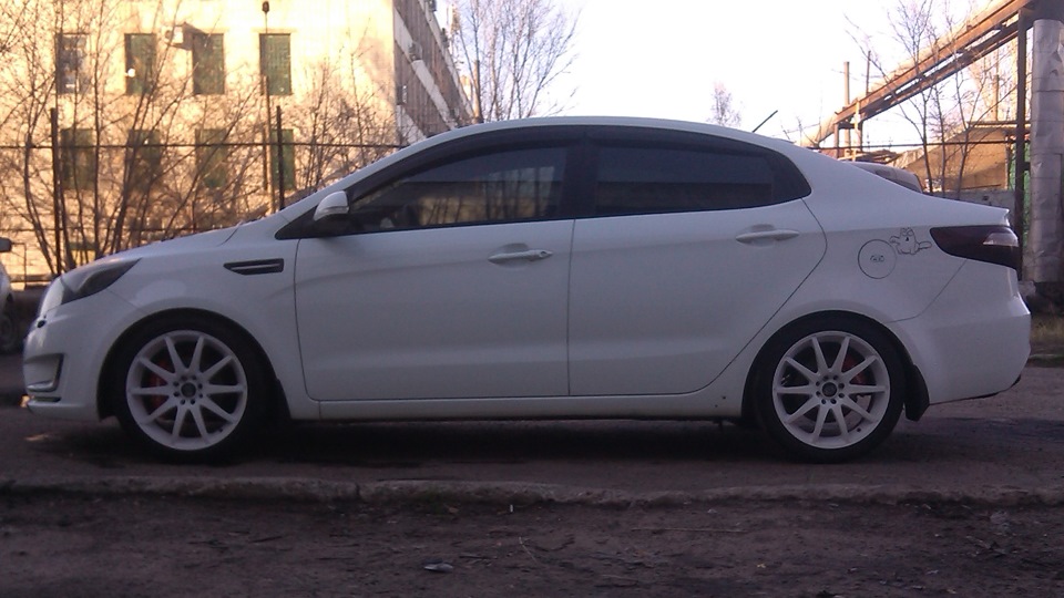 Kia rio vossen