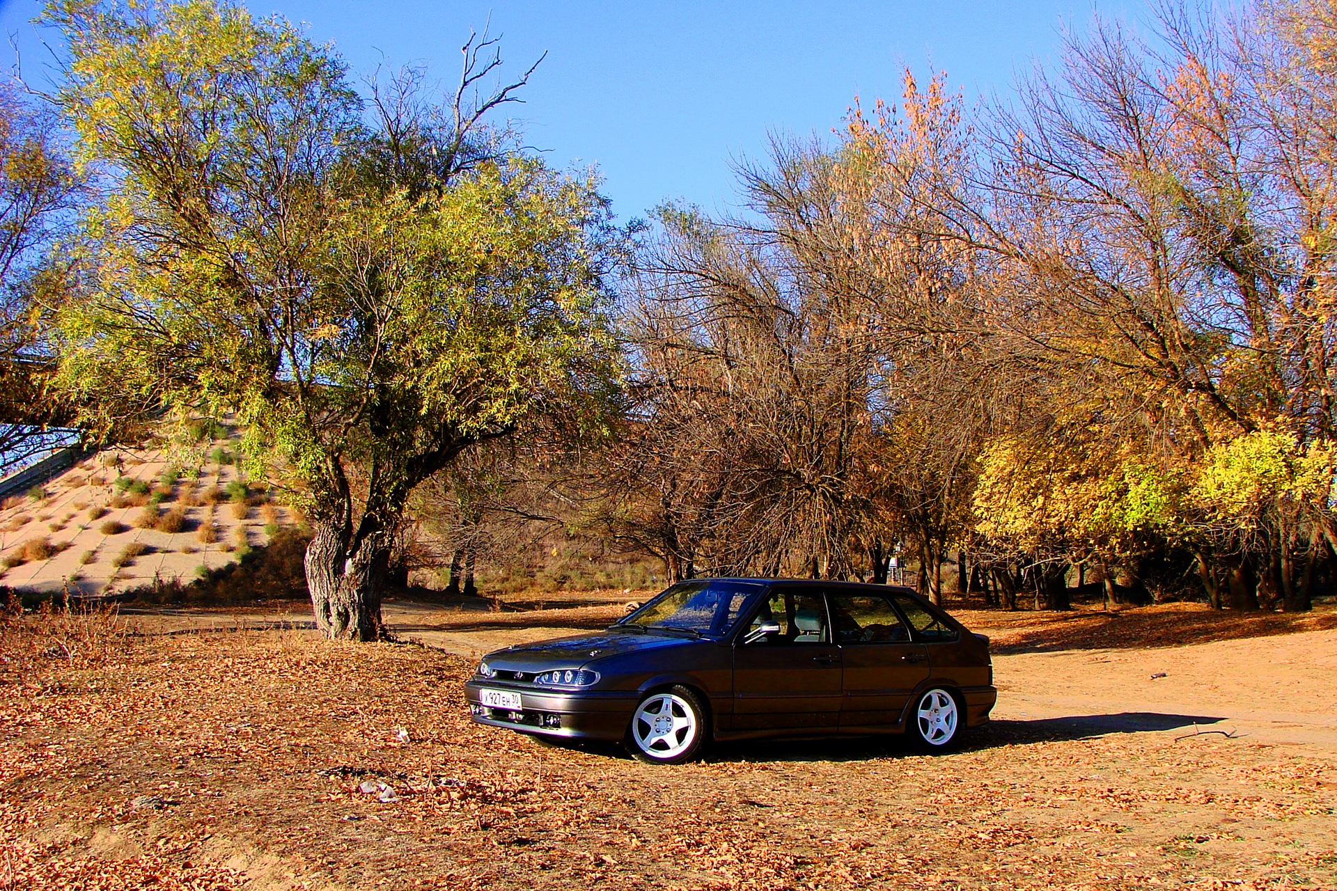 осень. слики. фотки — Lada 2114, 1,7 л, 2008 года | фотография | DRIVE2