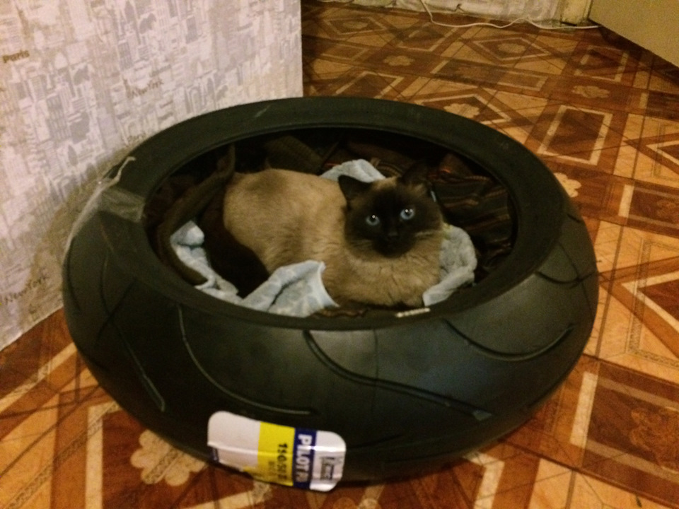 Задний опорник! — BMW 3 series (E36), 1,8 л, 1992 года | поломка | DRIVE2