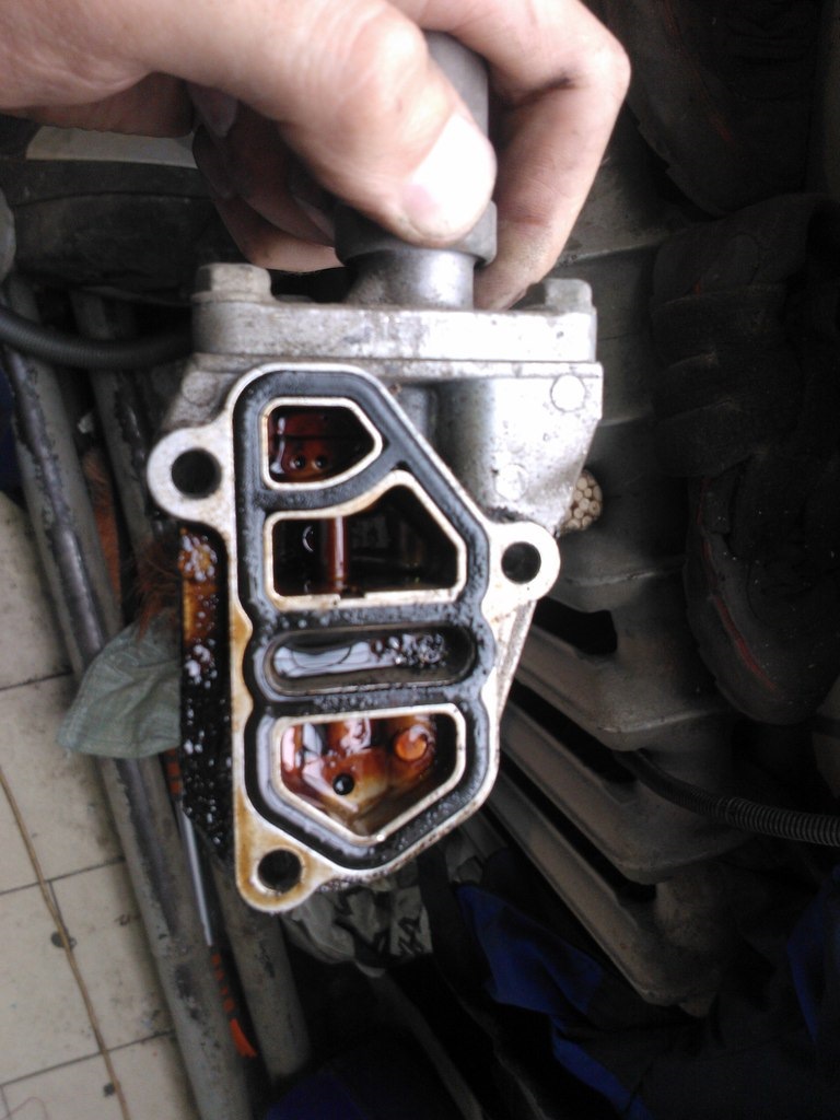 Фото в бортжурнале Honda Prelude (BB5/BB6/BB7/BB8/BB9)