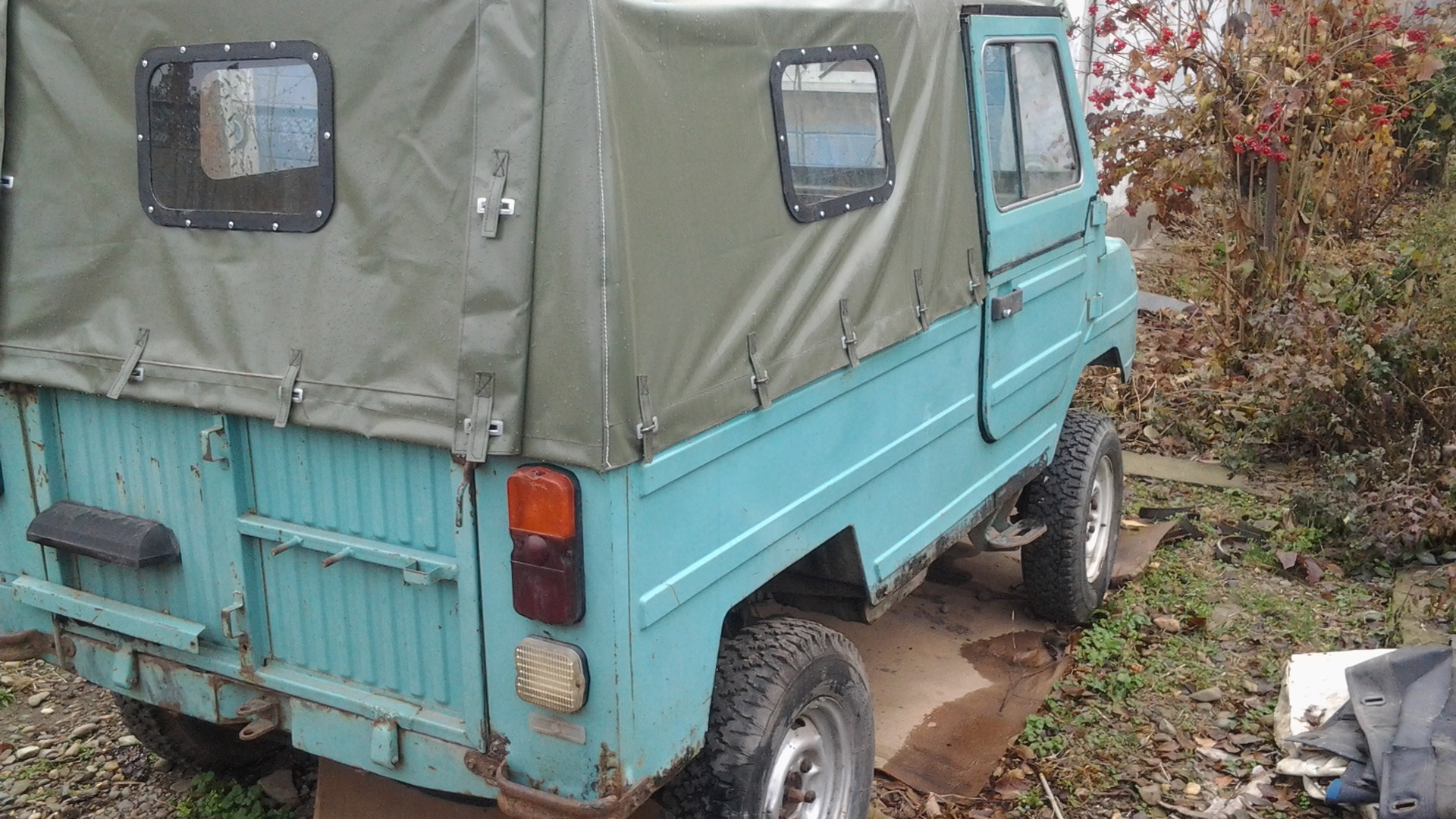 Kasatka969