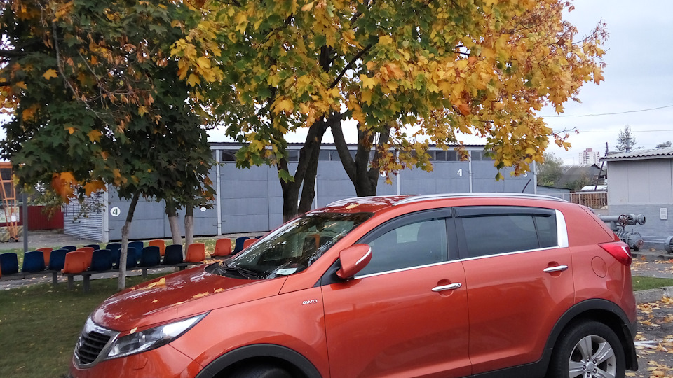 KIA Sportage @ Ginger