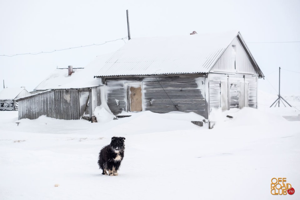 какая связь на варандее на. Смотреть фото какая связь на варандее на. Смотреть картинку какая связь на варандее на. Картинка про какая связь на варандее на. Фото какая связь на варандее на какая связь на варандее на. Смотреть фото какая связь на варандее на. Смотреть картинку какая связь на варандее на. Картинка про какая связь на варандее на. Фото какая связь на варандее на