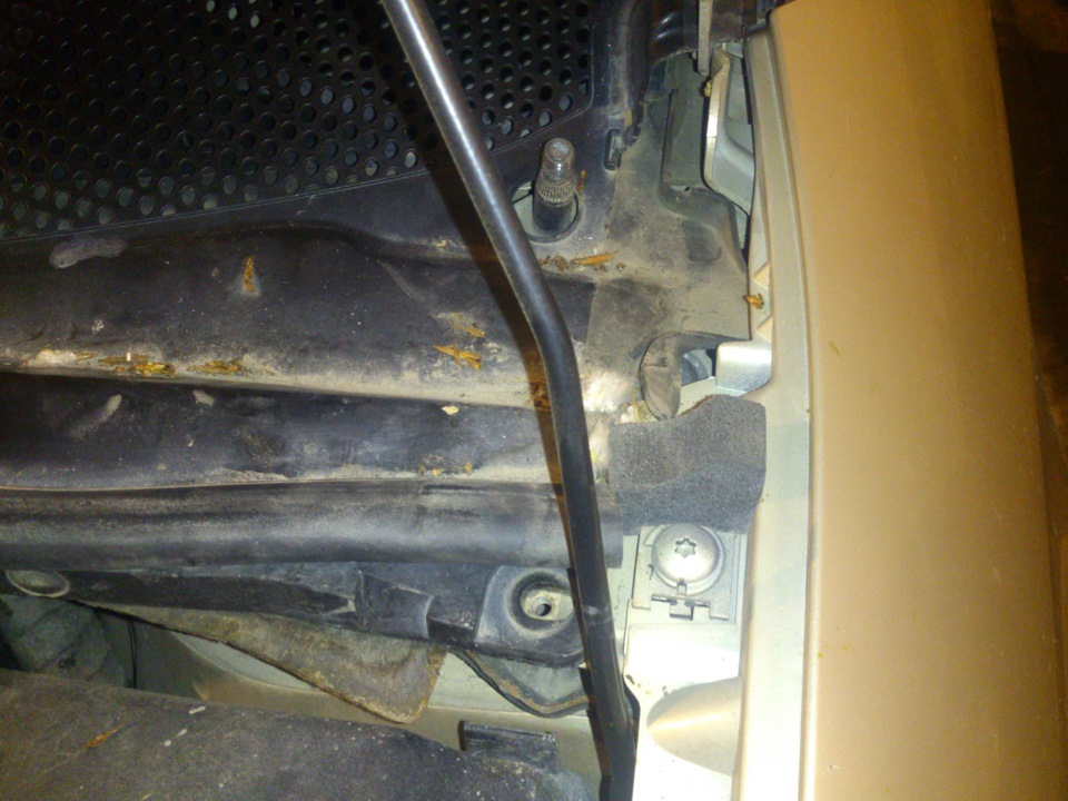 Прокладка проводов под саб — Citroen C4 (1G), 1,6 л, 2006 года ...