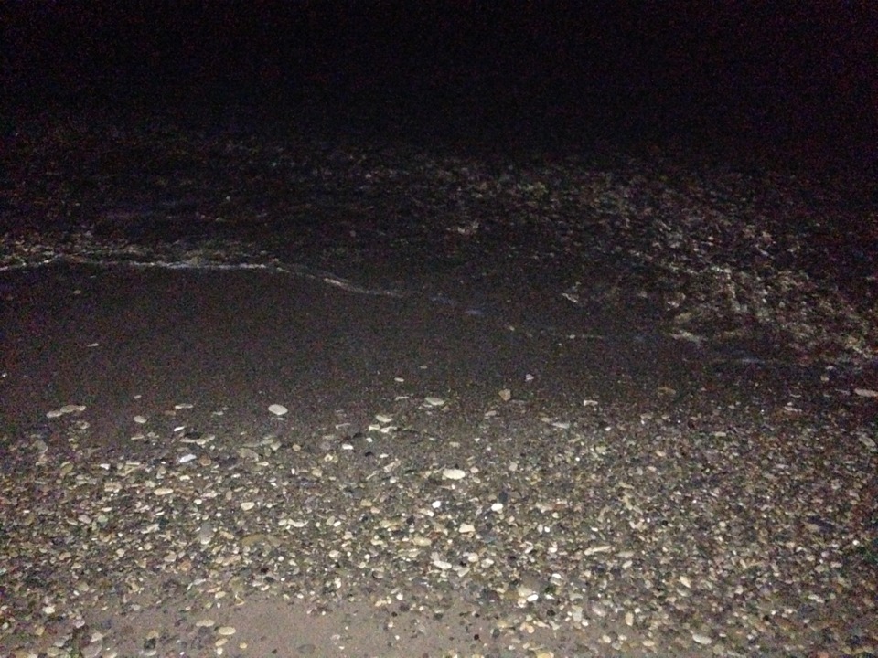 Фото в бортжурнале Mitsubishi Lancer X