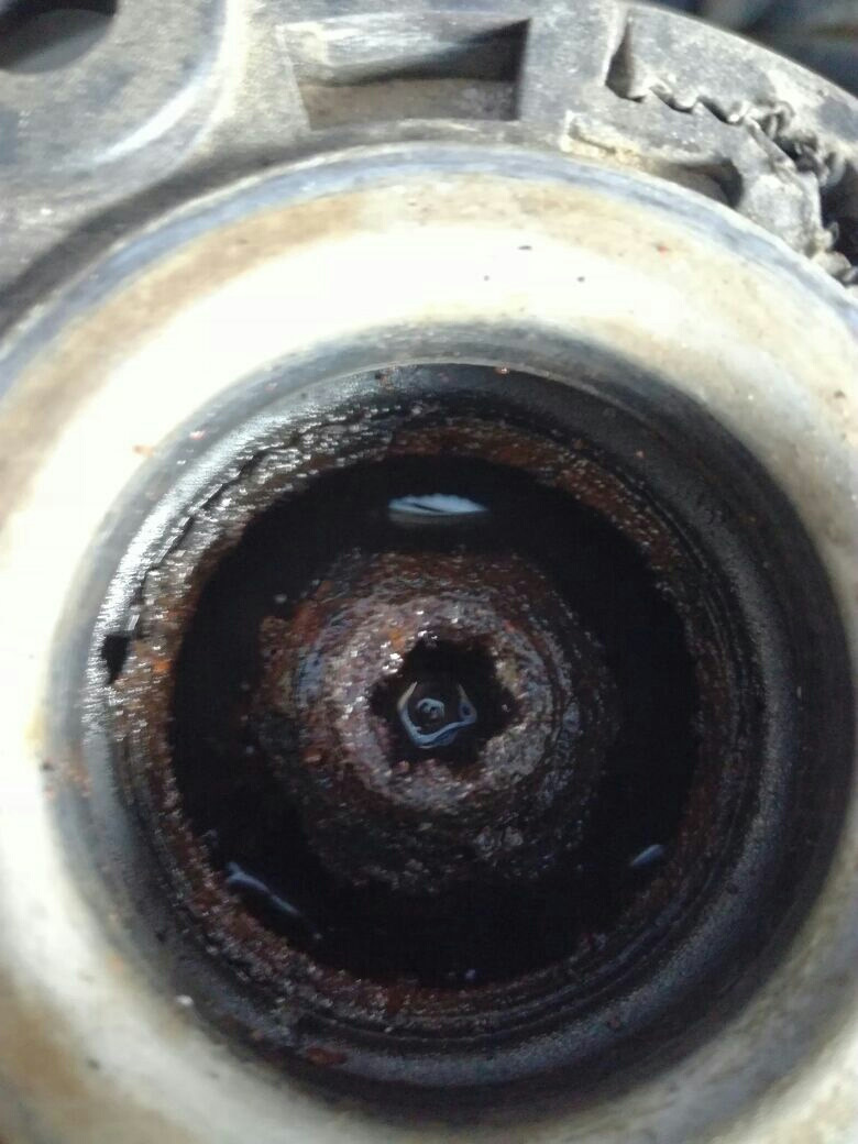 Замена ламп ближнего света и смазка опорных подшипников. — Opel Astra H ...