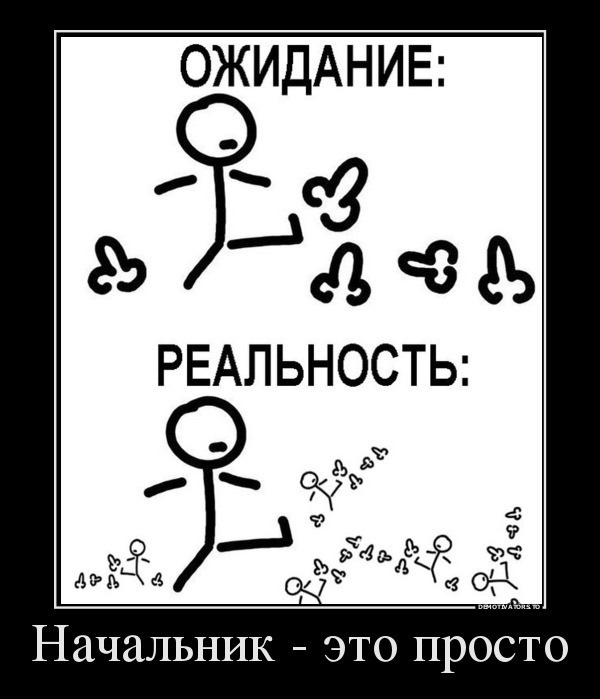 Планы на день мем