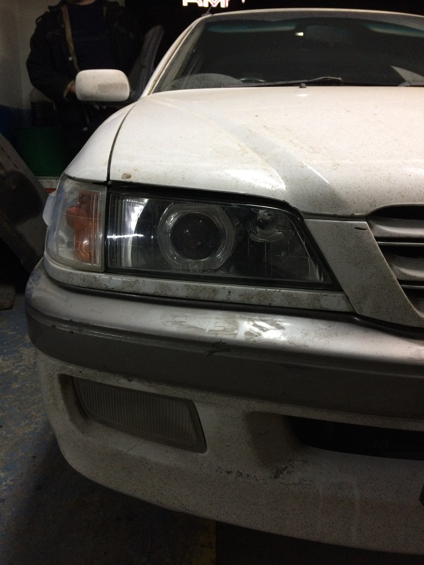 Corona premio линзы. Линзы тойота корона премио. Птф линзы corona premio. Toyota corona premio линзы. Фары с линзами toyota corona.