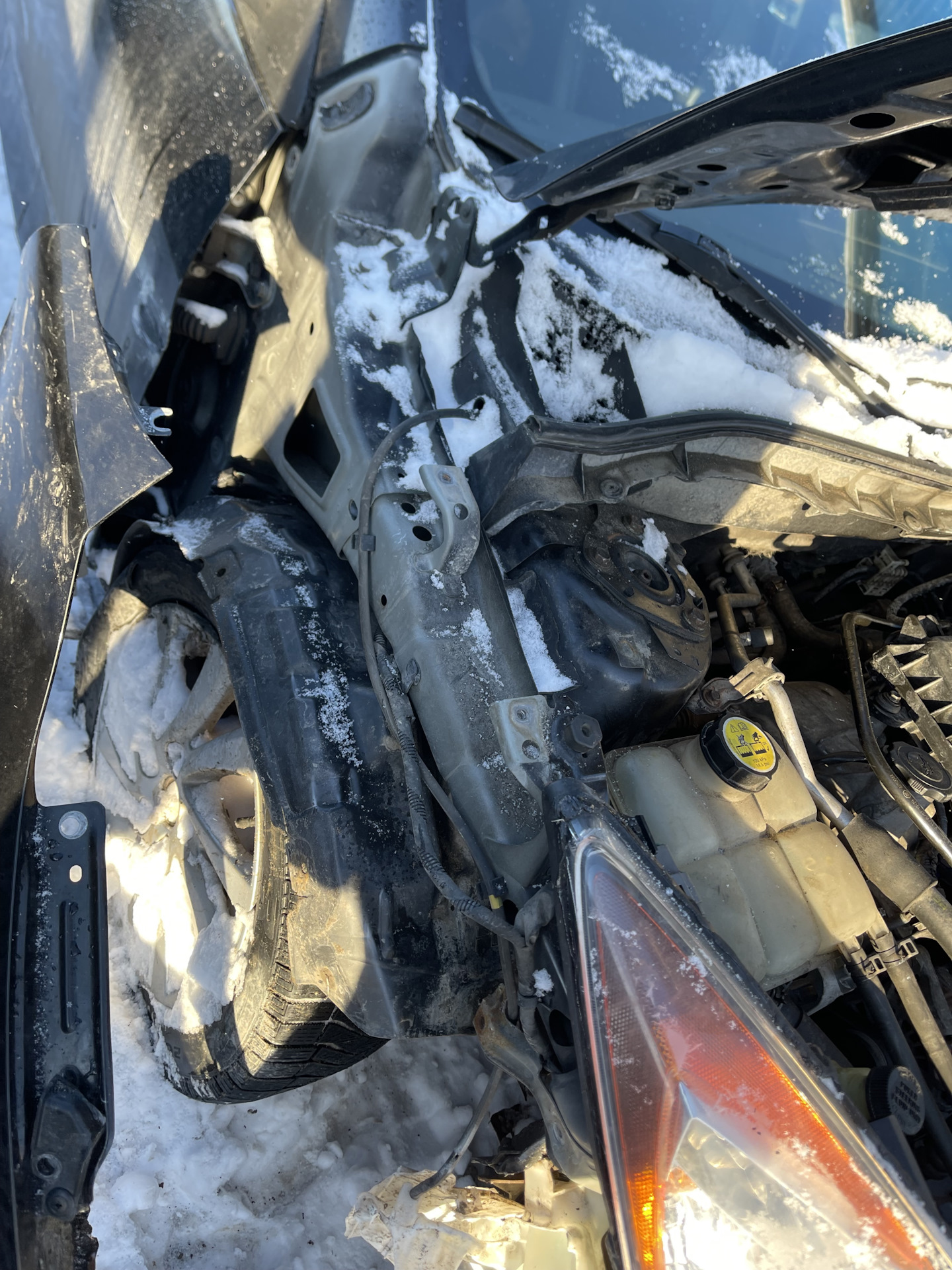 Девушка хочет есть. Не ем 2 дня и не хочу. Не ем 2 дня и не хочу. Не ем 2 дня и не хочу. Не ем 2 дня и не хочу.