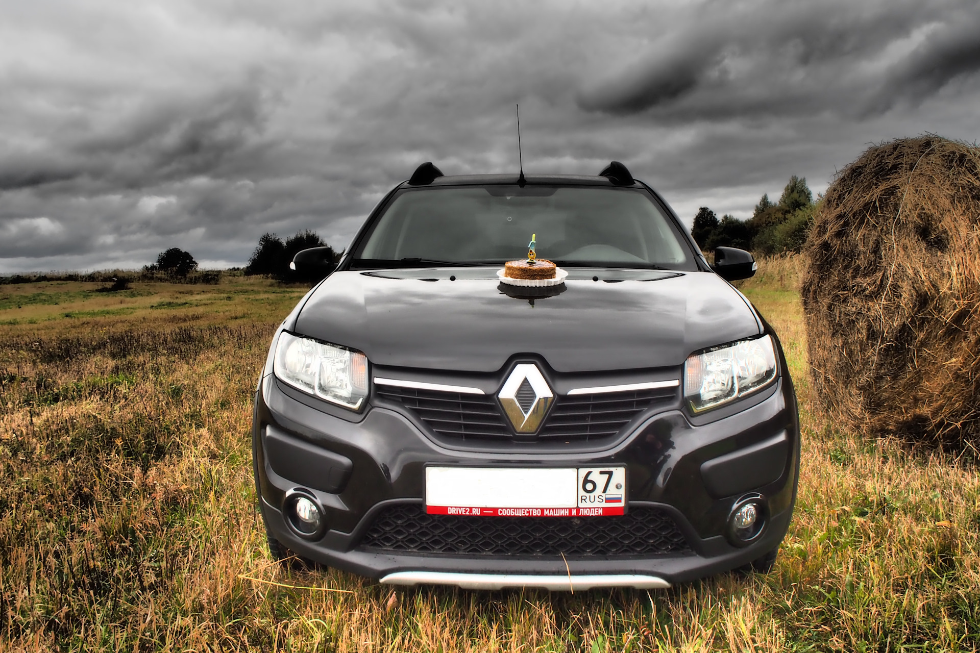 Парктроники рено сандеро степвей. Кенгурятник Renault Sandero Stepway 2. Sandero Stepway 2 кенгурятник. Рено Сандеро парктроник. Размещение датчиков парктроников Sandero Stepway 2.