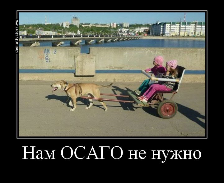 Днем рождения, смешные картинки осаго