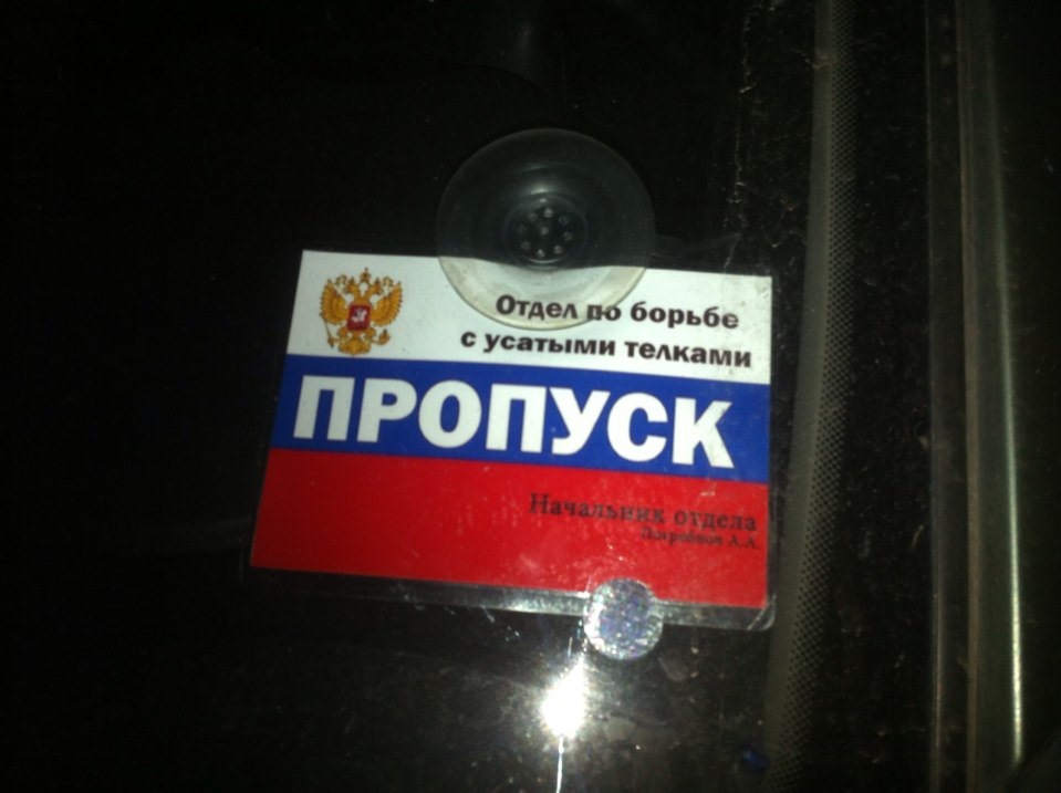 Подарил пропуск. По борьбе с усатыми. Пропуск отдел по борьбе с усатыми. Пропуск по борьбе с усатыми тёлками.