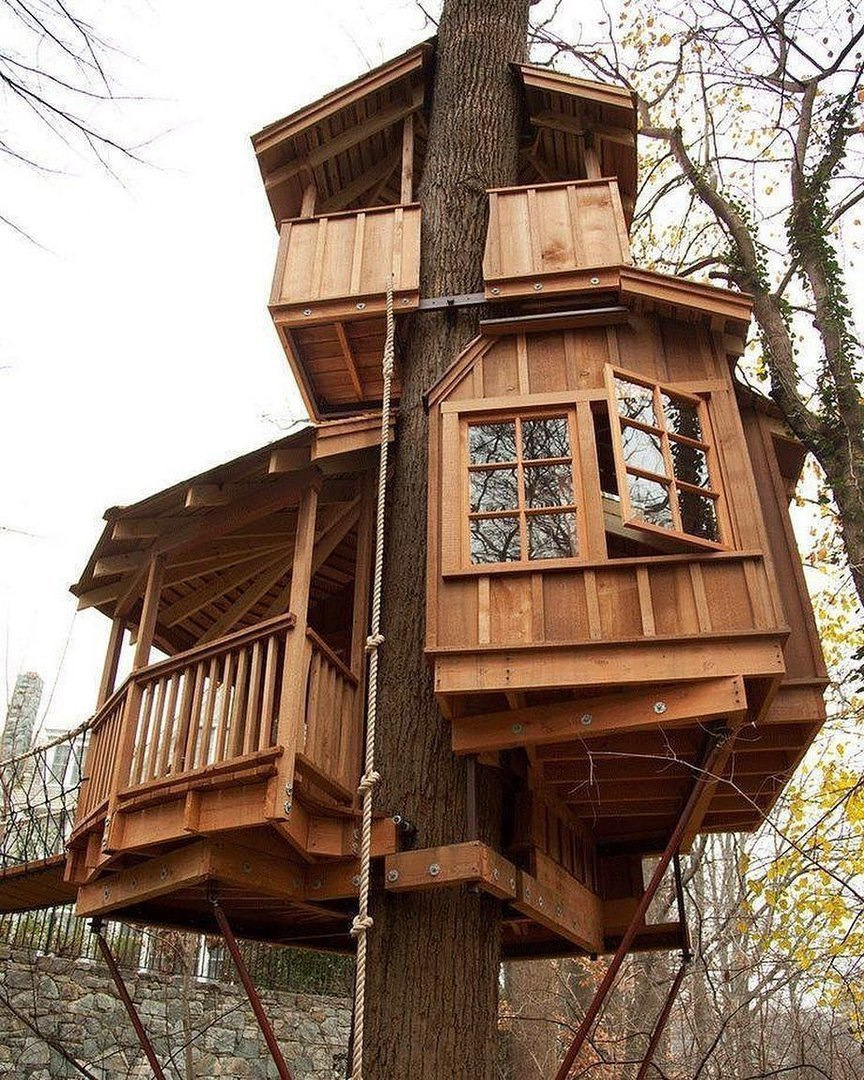 дом на дереве история