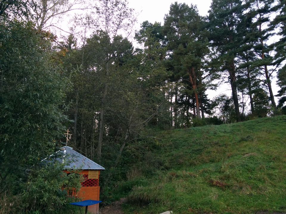 Фото в бортжурнале УАЗ 315195 Hunter