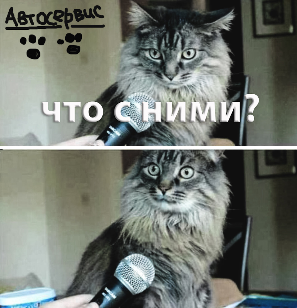 Eibach подбор по авто