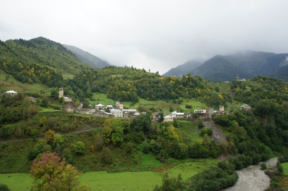 Сенаки грузия