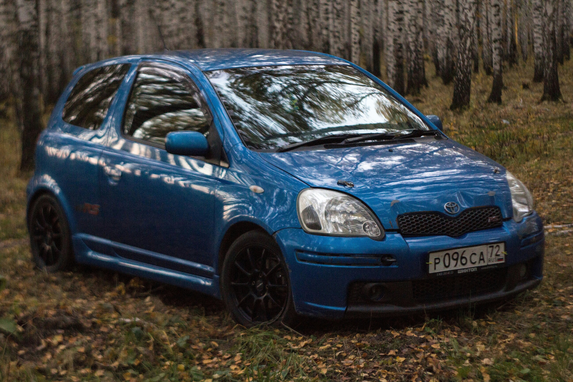 Toyota clavia vitz отличие