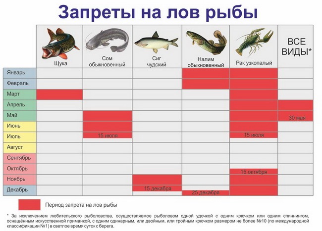 Снятие запрета на рыбалку в 2024 году: признаки …