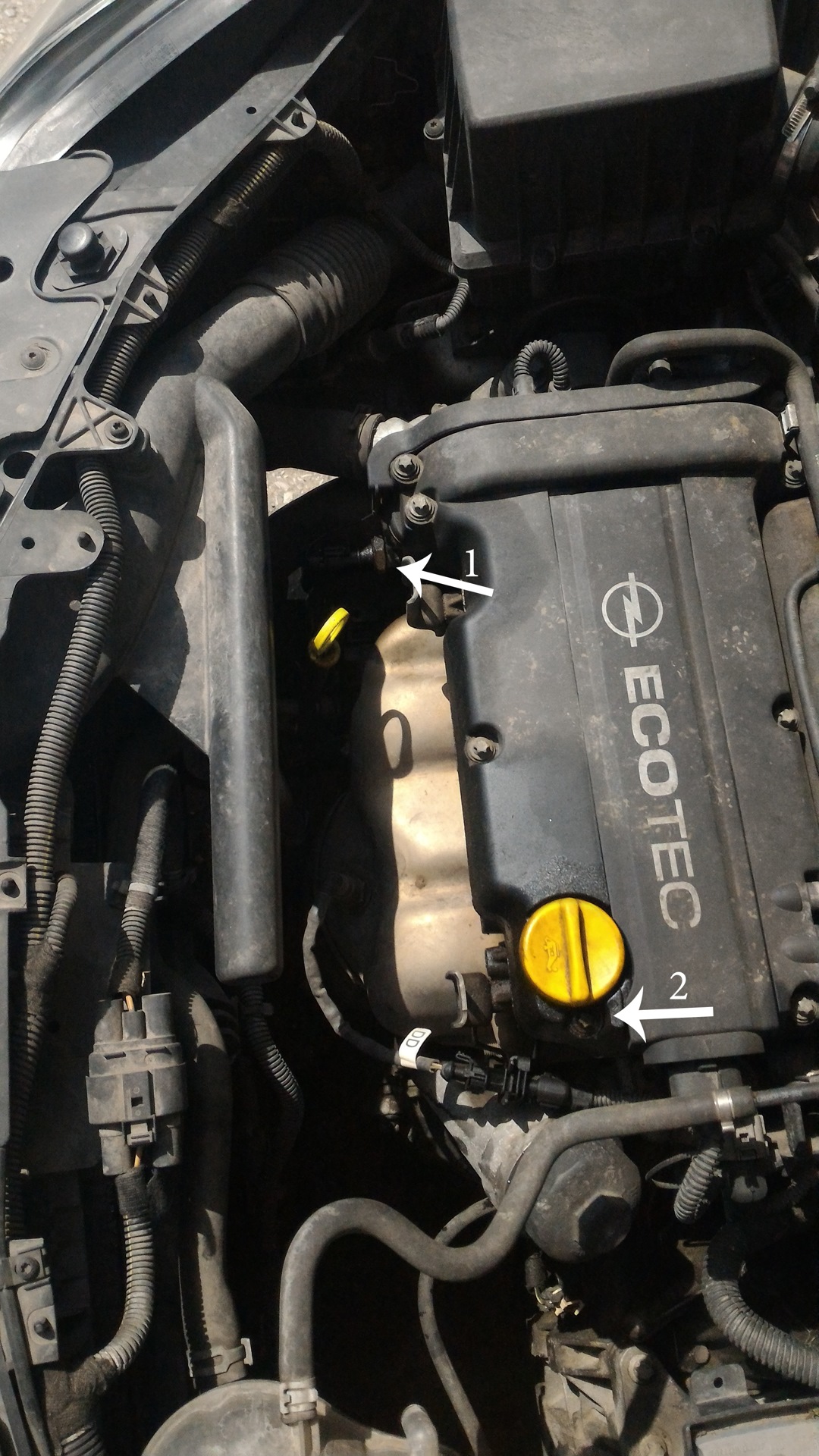 Где находится номер двигателя корса д Opel Corsa D 1.2 бензин - подтеки на двигателе. - DRIVE2