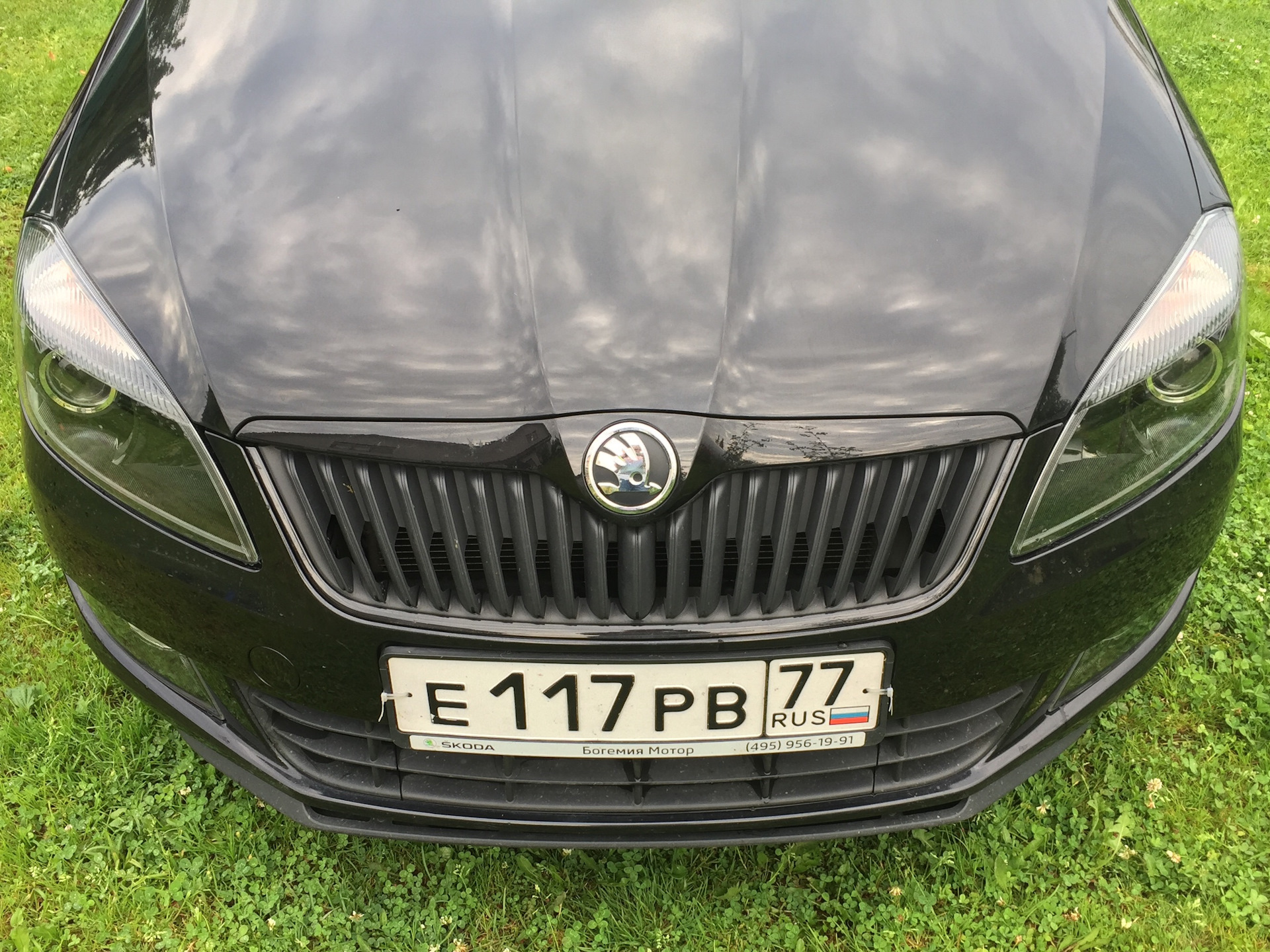 Фары Monte Carlo — Skoda Fabia Mk2, 1,6 л, 2013 года | фотография | DRIVE2