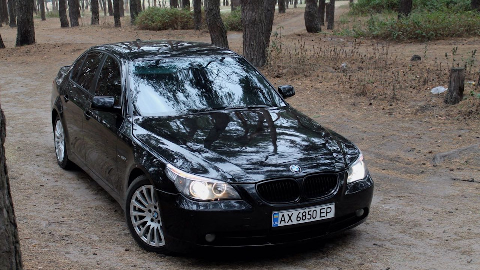 BMW 5 series (E60) 3.0 бензиновый 2003 Лиса на DRIVE2