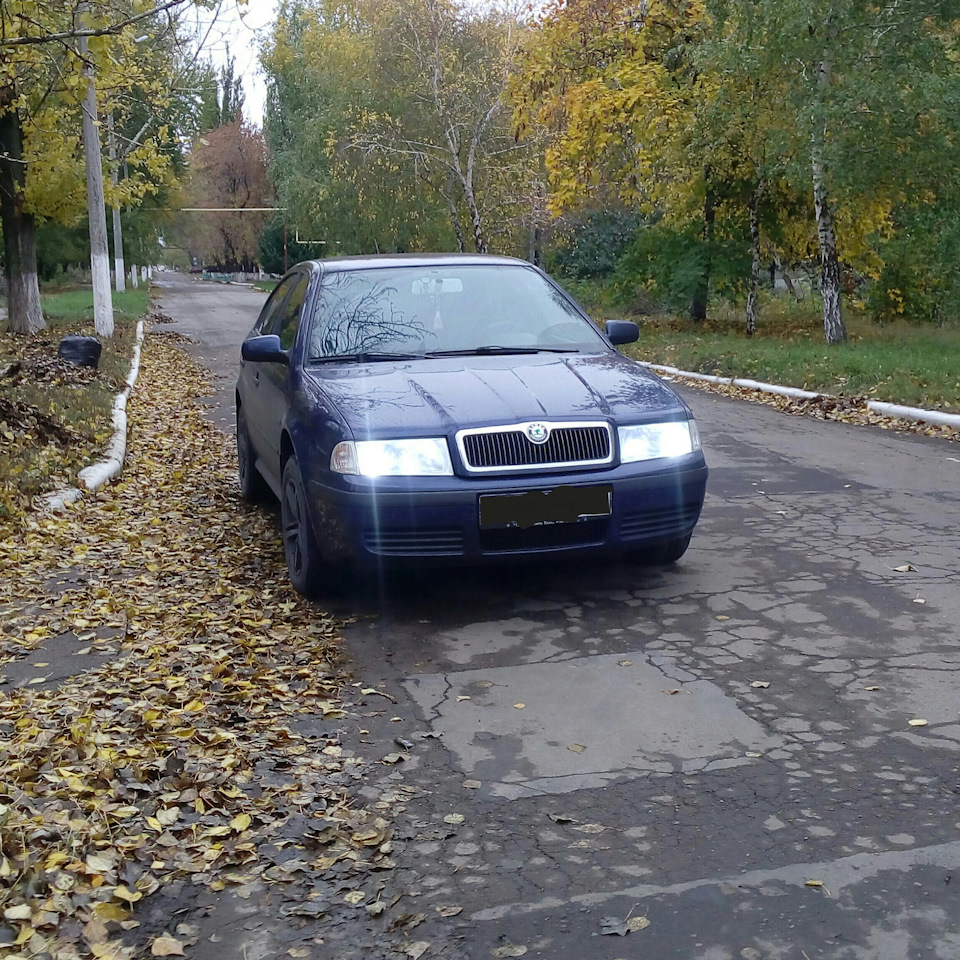 Уходящая осень, поездка домой…Ростов — Донецк. — Skoda Octavia A4 Mk1, 1,6  л, 2007 года | путешествие | DRIVE2