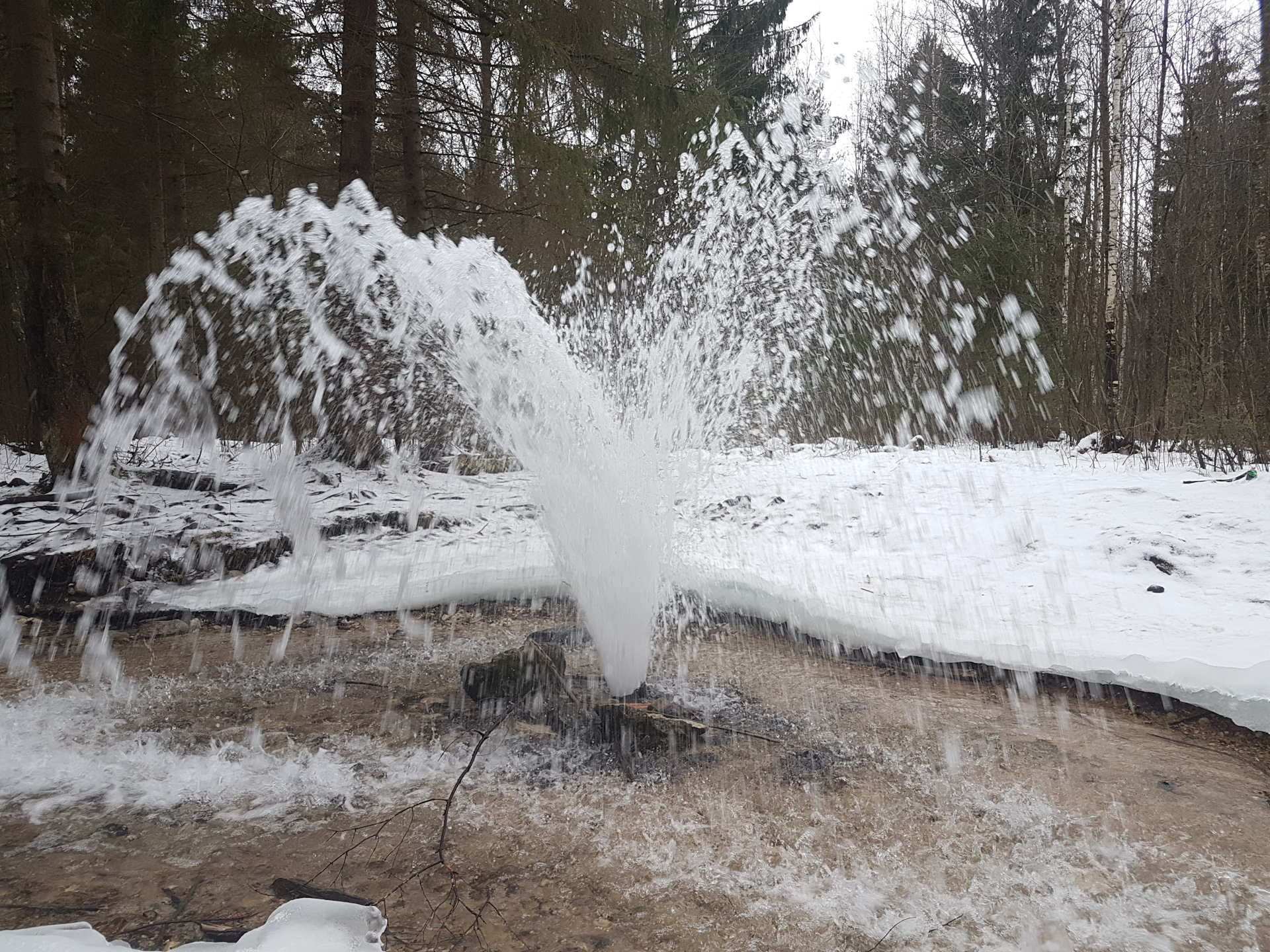 Гатчинский гейзер фото