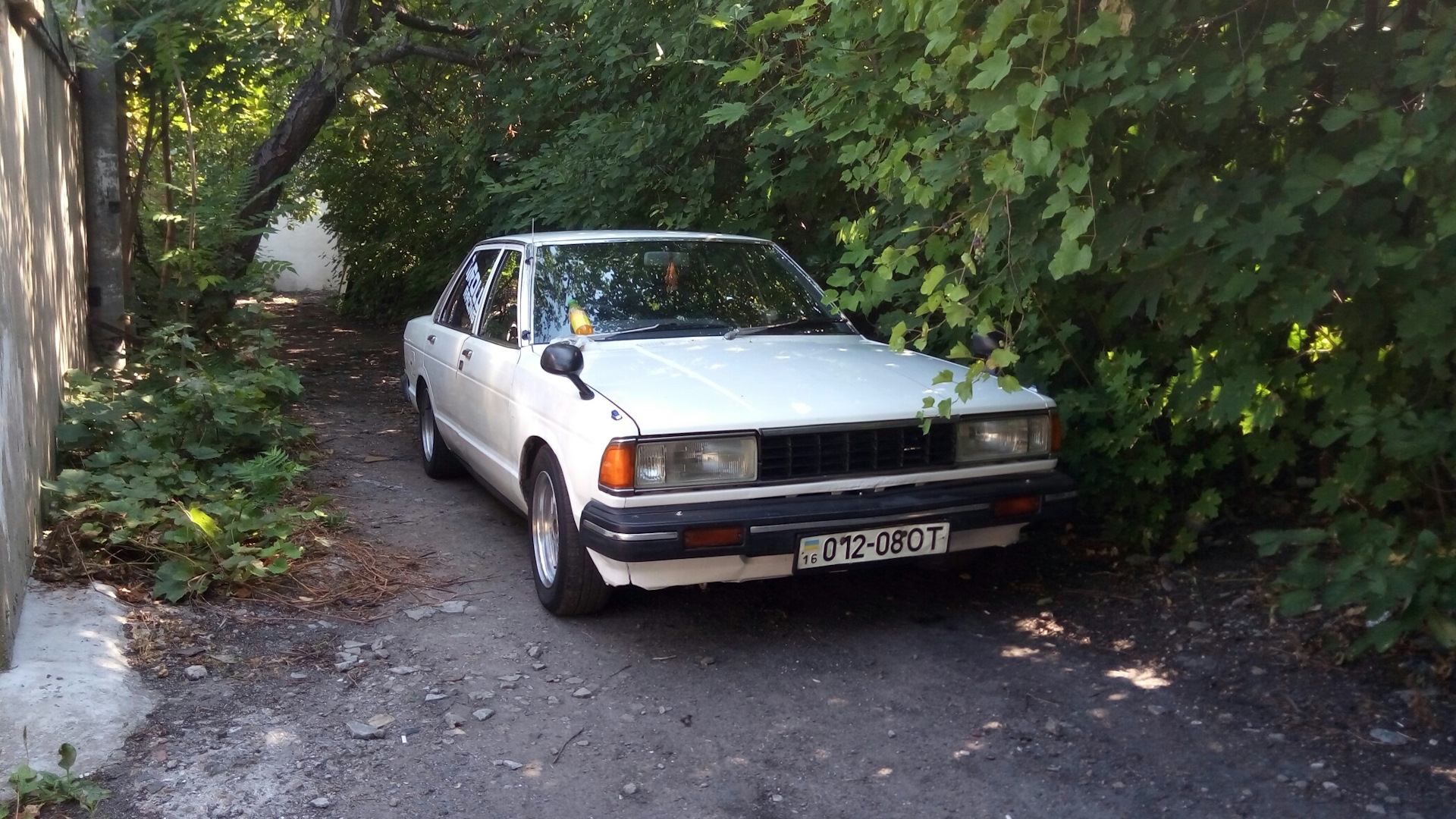 Nissan Bluebird (910) 1.8 бензиновый 1983 | Troll Racing 910 на DRIVE2