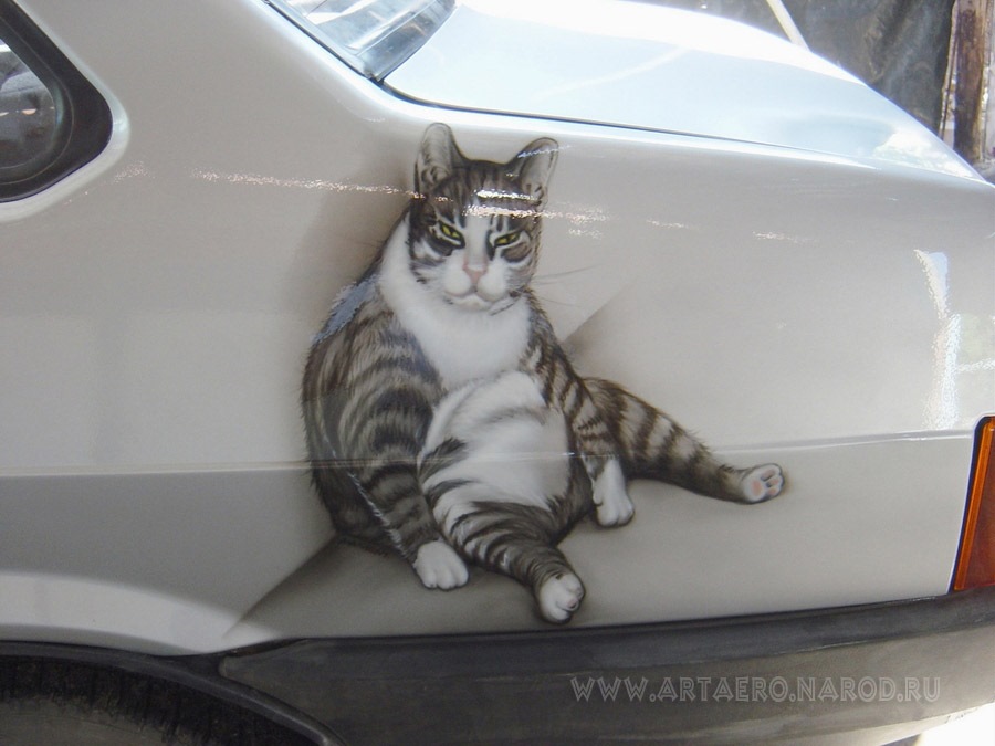Кошка на капоте. Авто рисунок. Аэрография на авто кот. Кот в машине рисунок. Кот винил на авто.