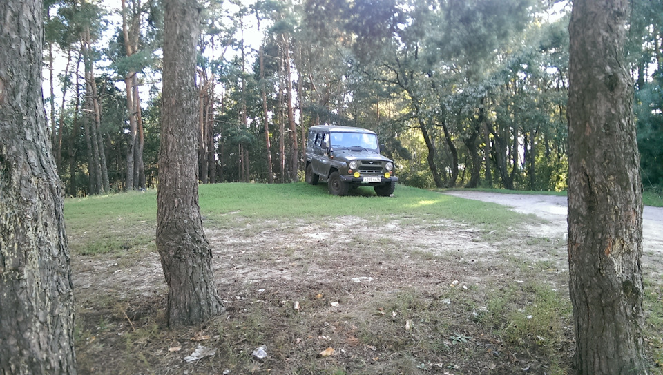 День города Воронеж — Skoda Octavia A7 Mk3