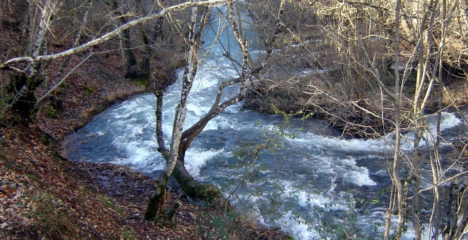 Фото в бортжурнале Volkswagen Polo Sedan