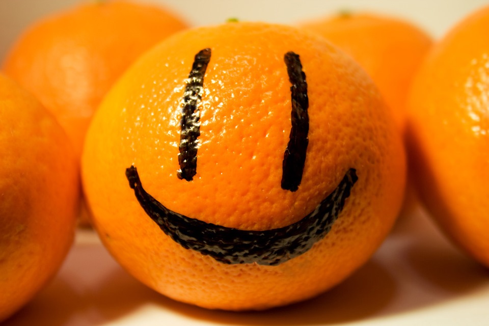 ��������, �������� ���� ����������