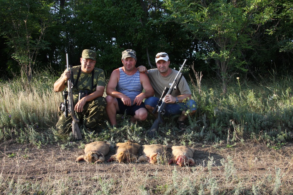 охота на куропатку в ростовской области