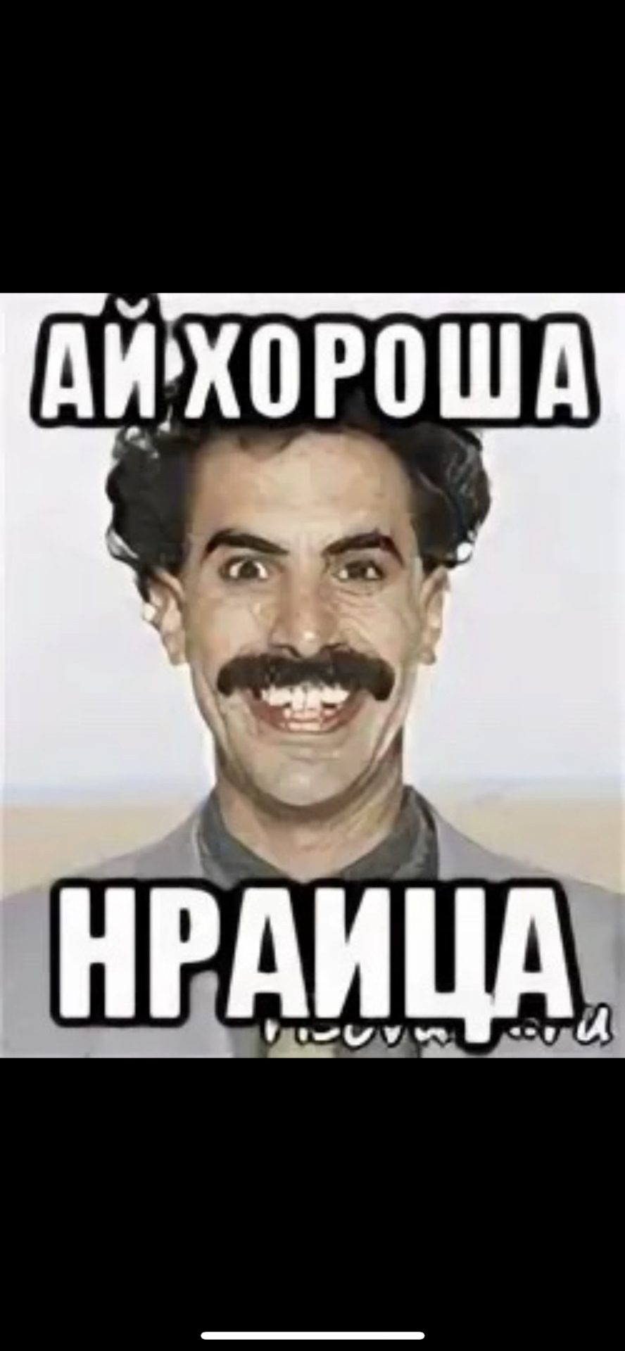 Пушкин сукин сын. Ай да я ай да молодец. Мемы про вежливость. Ай да не мое. Ай да пушкин ай да сукин сын.