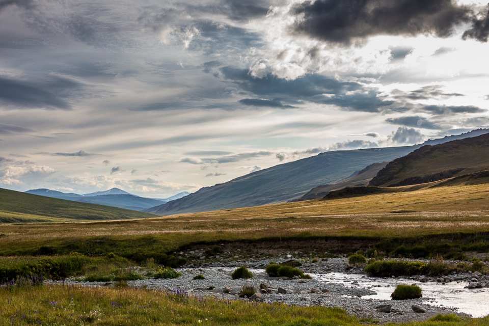 Плато укок алтайский край фото