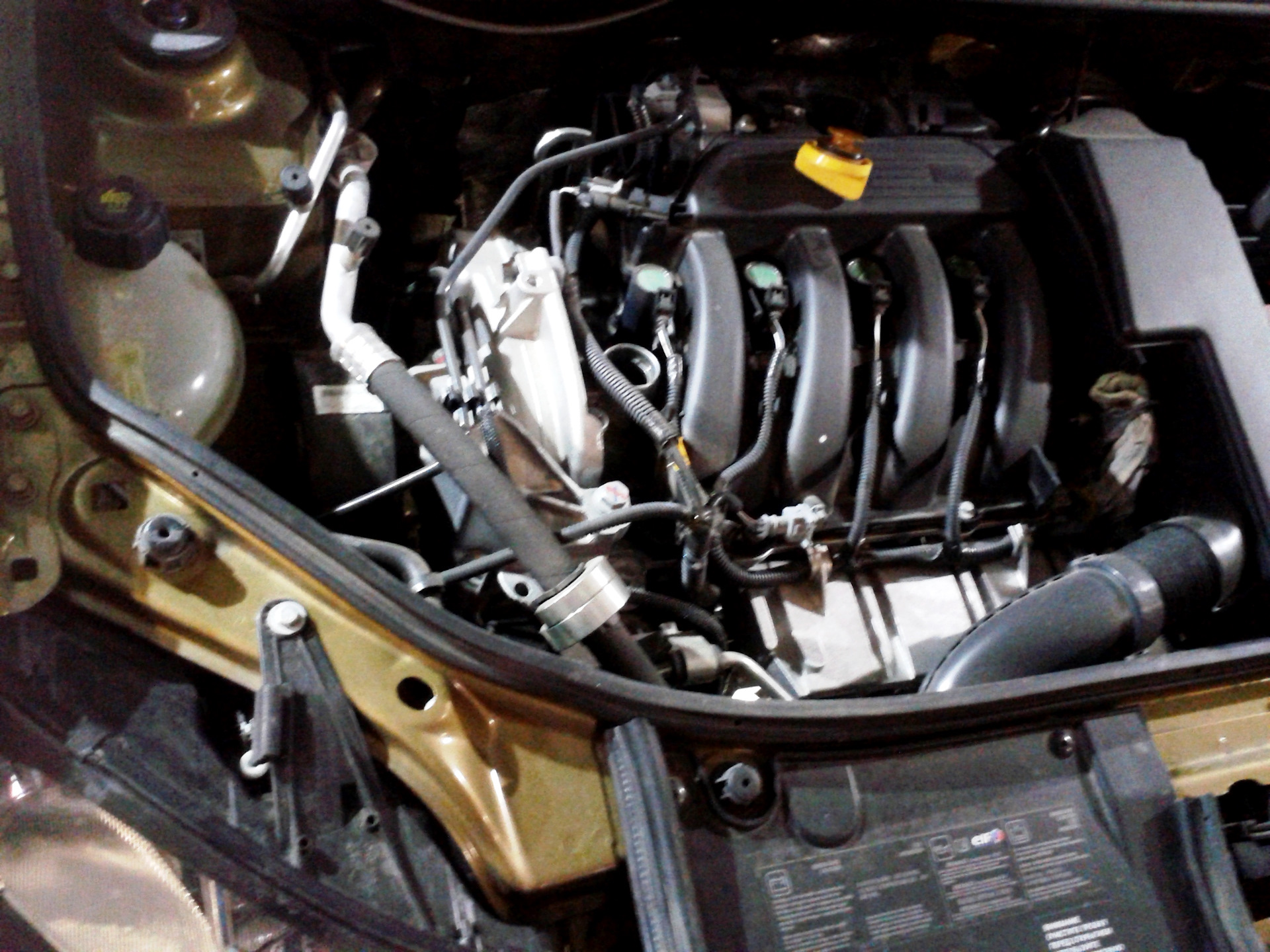 Рено стучит двигатель. Двигатель Рено Сандеро 1.6 16 клапанов. Двигатель Рено Сандеро 1 1,6. ДВС Renault Sandero 1.6 2010. Двигатель Рено Сандеро степвей 1.6 16 клапанов.