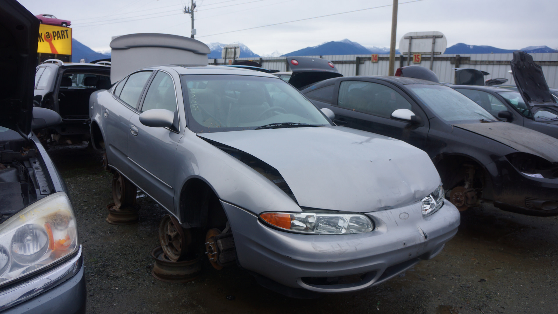 Свободные выходные — Oldsmobile Alero, 3,4 л, 2001 года | колёсные диски |  DRIVE2