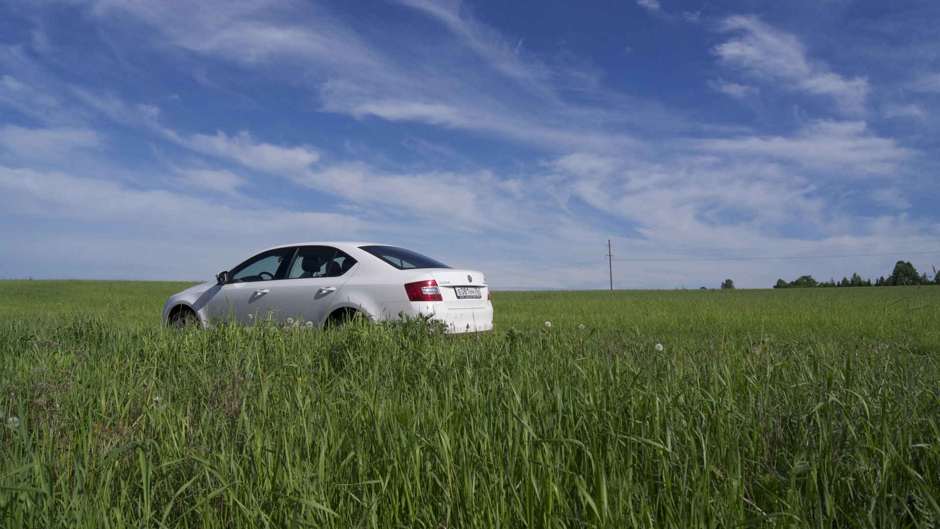 Skoda Octavia A7 Mk3 1.8 бензиновый 2014 | Belaya Medveditsa на DRIVE2