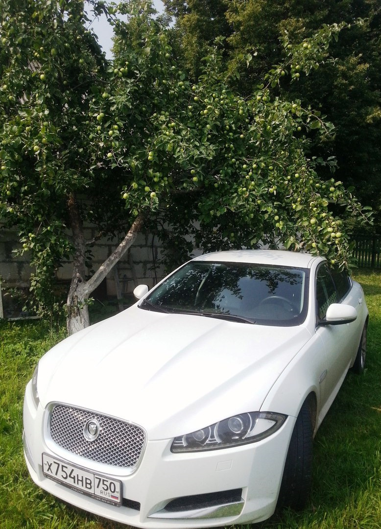 Ровно месяц владения Ягуарчиком:) — Jaguar XF (1G), 3 л, 2012 года |  наблюдение | DRIVE2