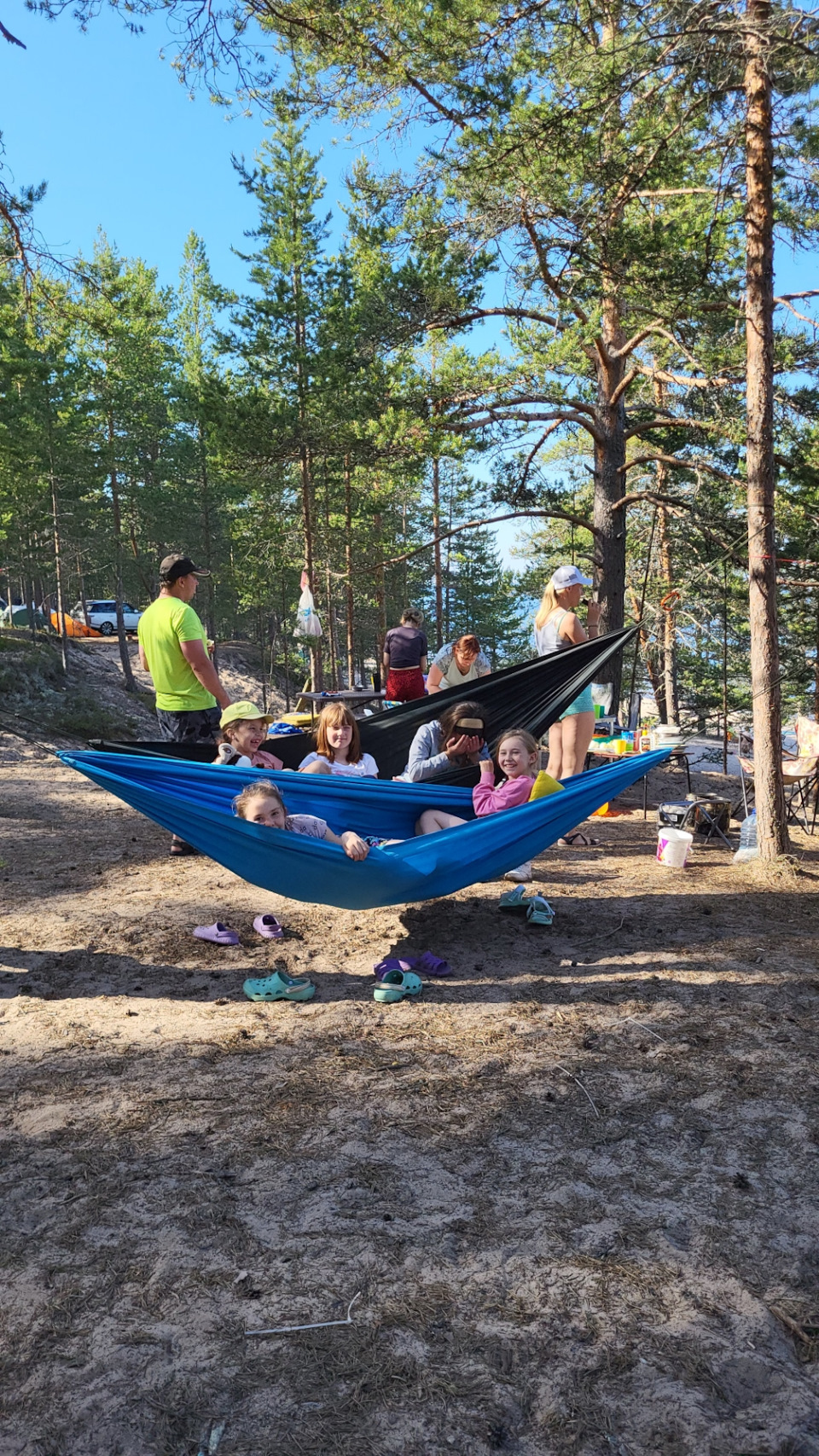 В гамаке из птичьих трелей