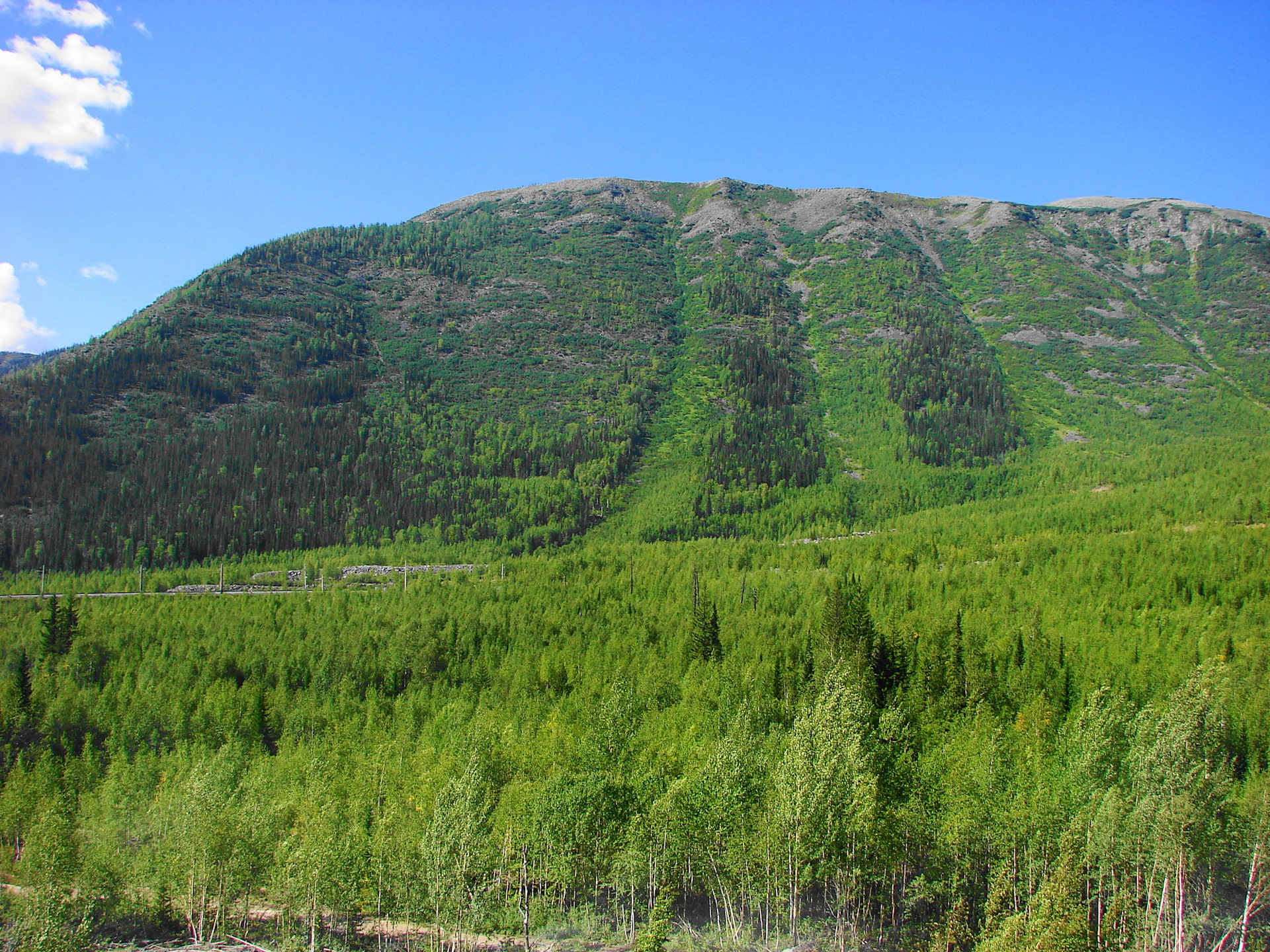 Байкальская равнина