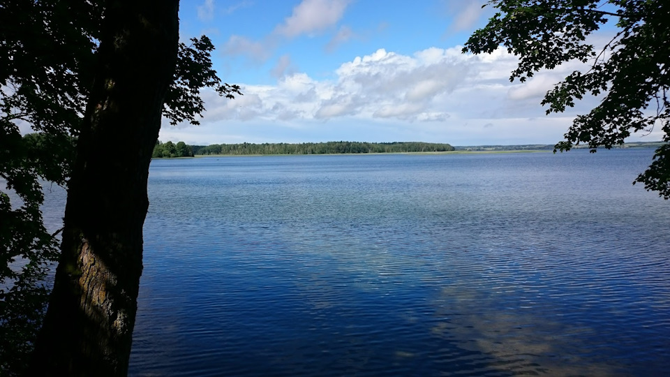 Озеро "Виштынец" — Audi 100 (C3), 2 л, 1990 года | путешествие | DRIVE2