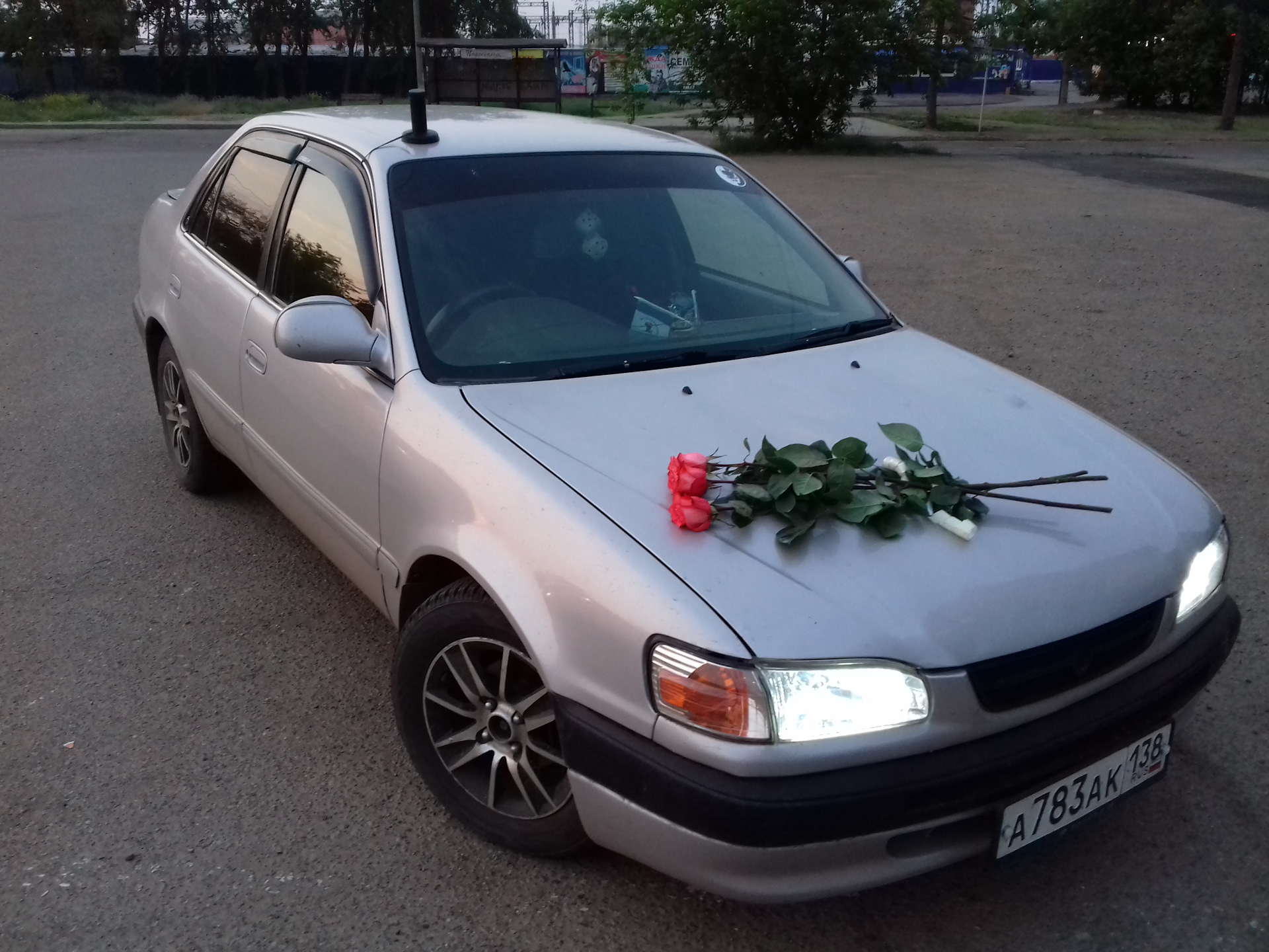 Toyota rose. ,Свадебная машина Королла 110. Розы в Тойоте. Toyota Rosa. Bank Roses Toyota.