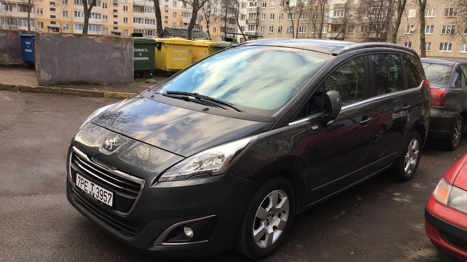 Peugeot 5008 Молодой Лев:-)