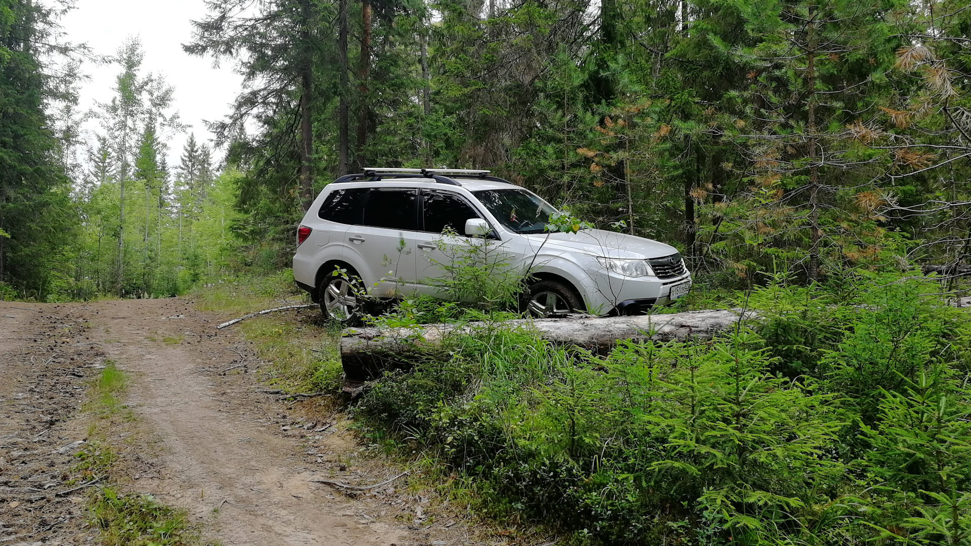 Subaru Forester (SH) 2.5 бензиновый 2008 | ♂ на DRIVE2