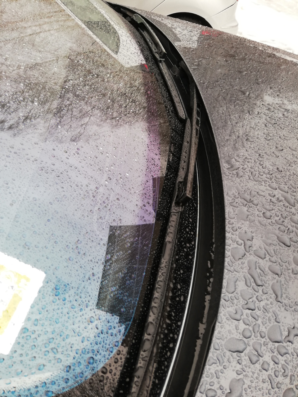 Фото в бортжурнале Audi A6 Avant (C6)